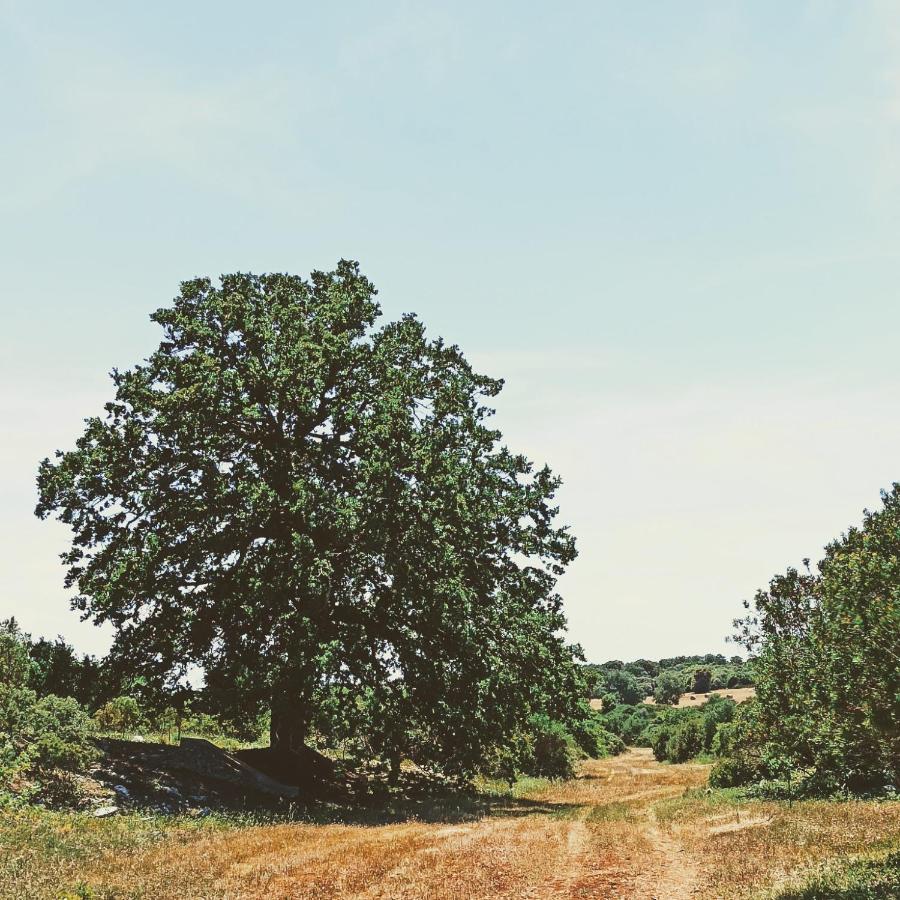 Masseria Lojazzo Ceglie Messapica Εξωτερικό φωτογραφία