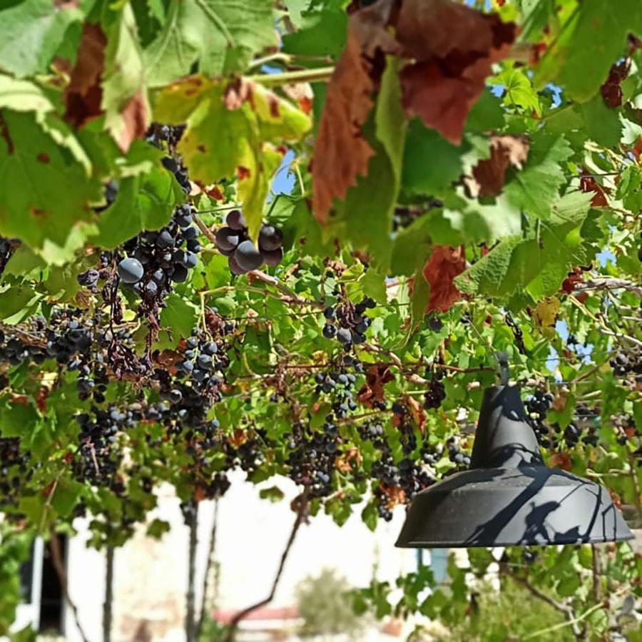 Masseria Lojazzo Ceglie Messapica Εξωτερικό φωτογραφία